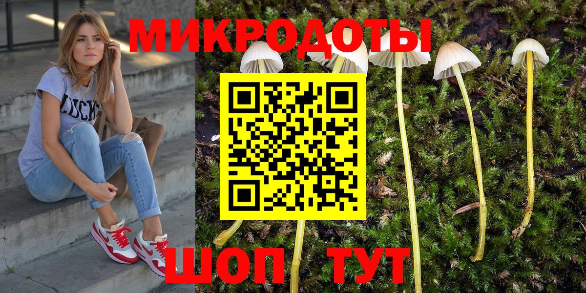 Ступино  Псилоцибиновые грибы мухоморы  Вход с VPN 
